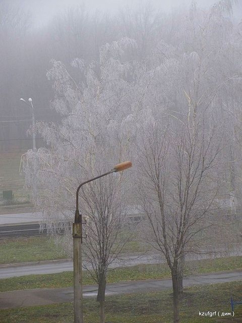 ������ 2010�. ������... 