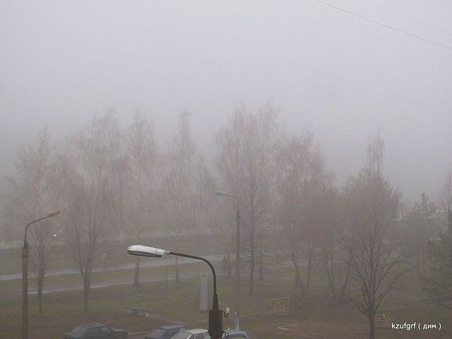 ������ 2010�. ������... 
