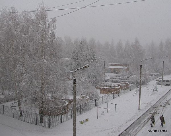 ������ 2010�. ������... 