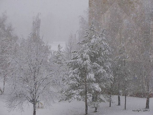 ������ 2010�. ������... 