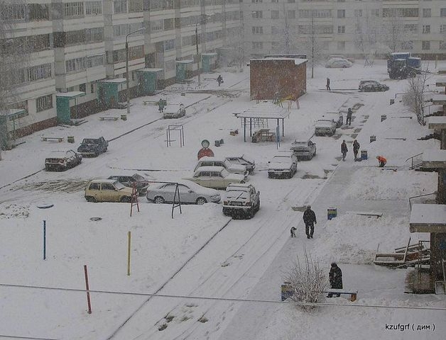������ 2010�. ������... 