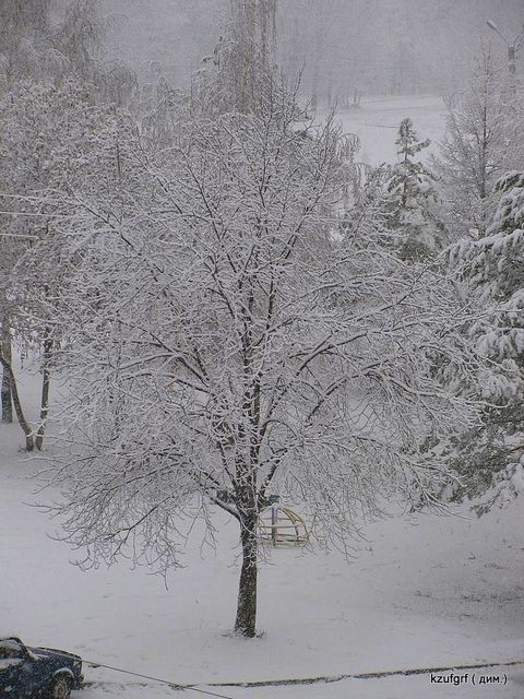 ������ 2010�. ������... 