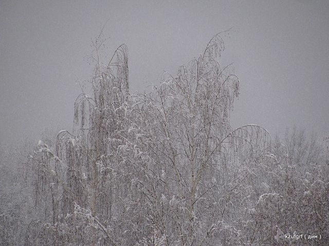 ������ 2010�. ������... 