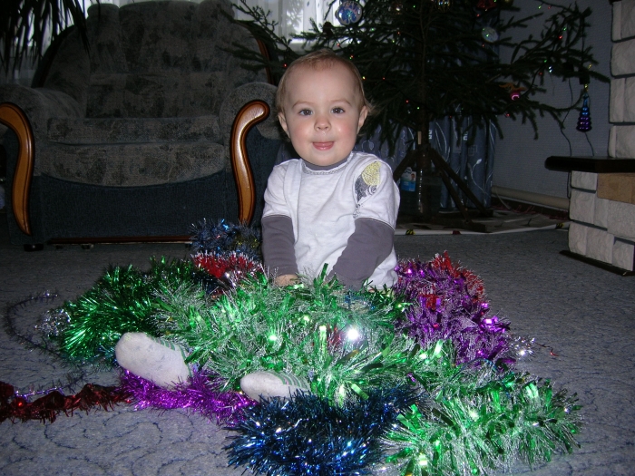   2011 