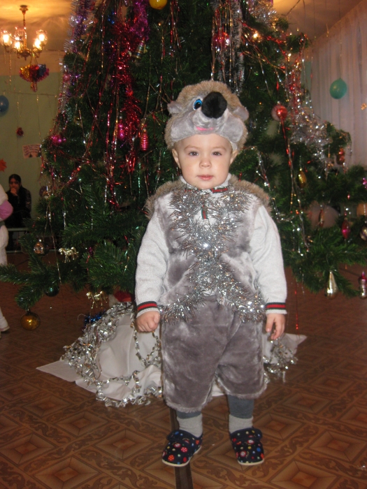   2011 