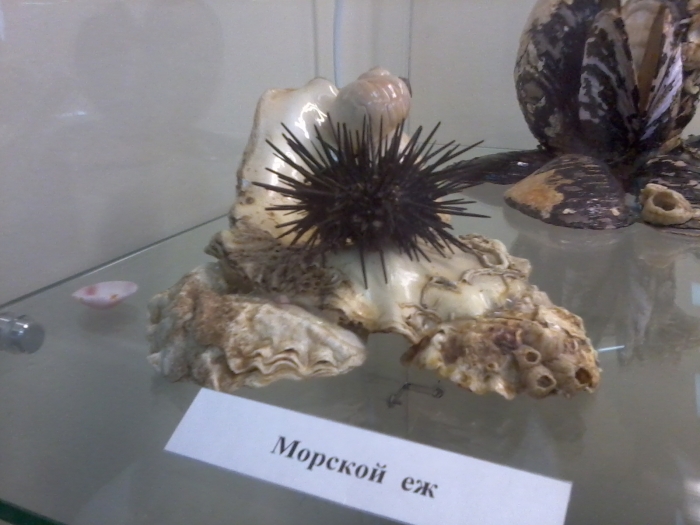 ����� � �������. 18.03.2011 ��� 