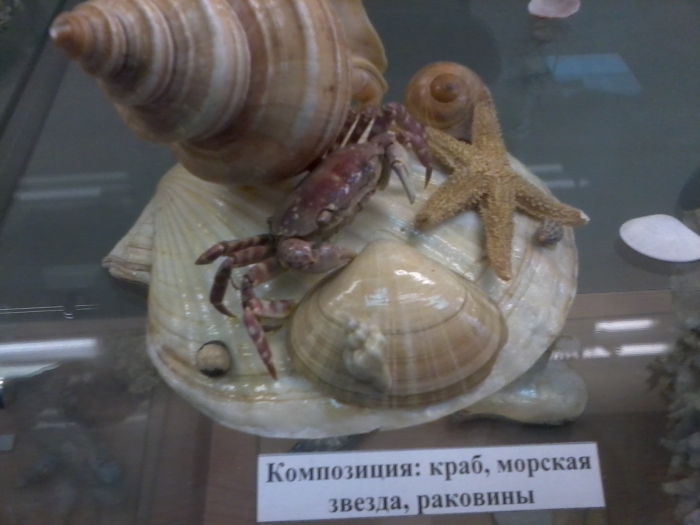 ����� � �������. 18.03.2011 ��� 