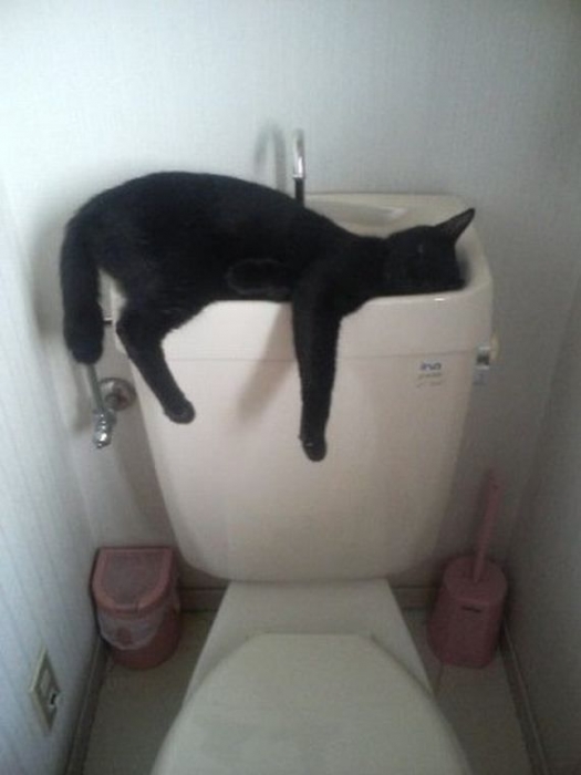 ���� ��������.. 
