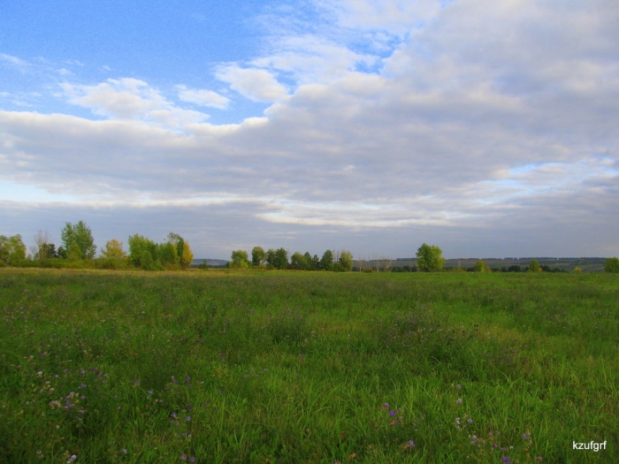 03-040909(� �����) 