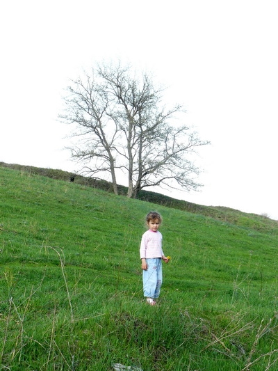   2011