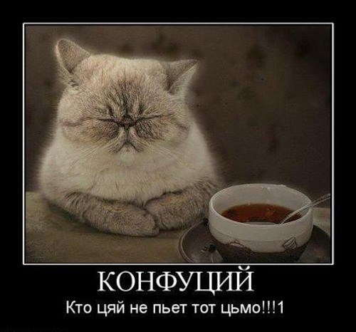 �������� - ������ ������� ! 