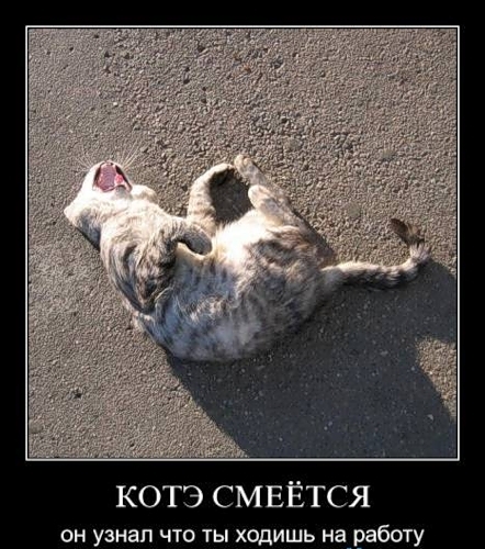 �������� - ������ ������� ! 