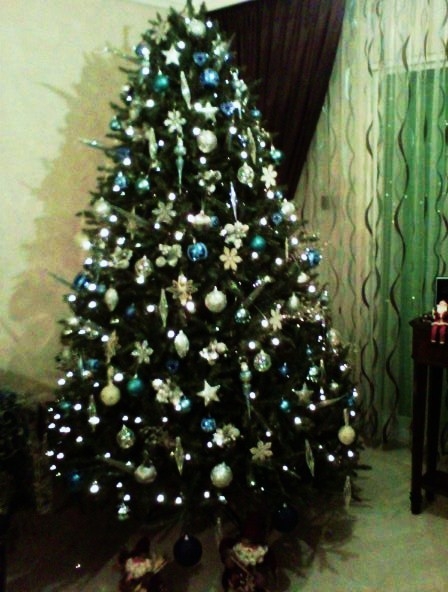 MY PHOTO 