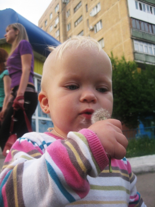 ���� ���� 2011 