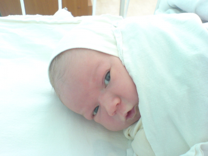 �������� �� �������� � �� ���� ���� 3 ���