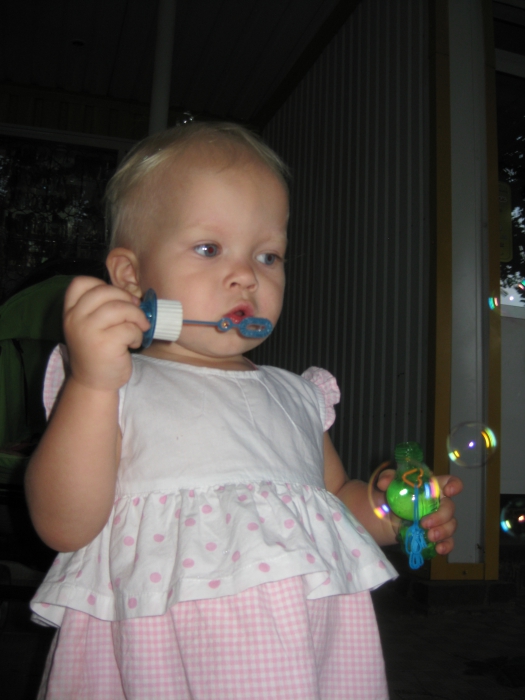 ���� 2011 