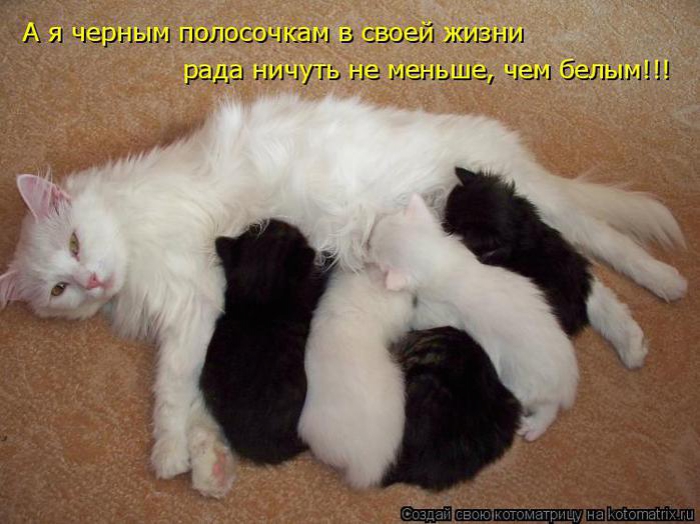 ���� ��������.. 