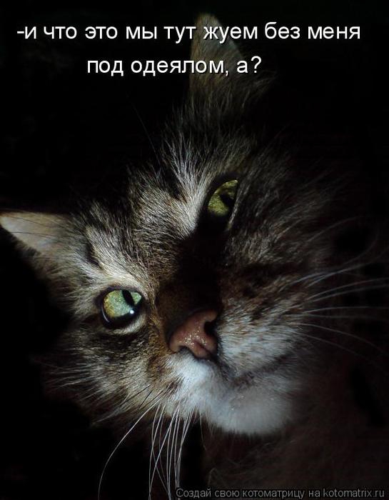 ���� ��������.. 