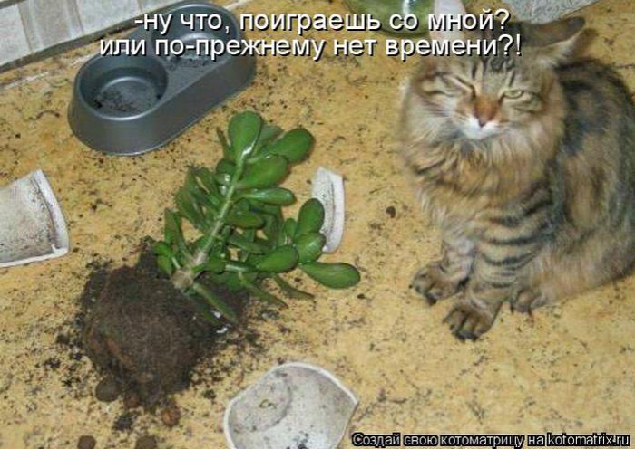 ���� ��������.. 