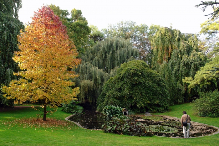 Comment j'ai vu la France. Reims - Jardin d'horticulture Pierre-Schneiter. ���� ��������������� ����-�������.