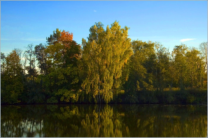 �����-������� �������������. ����� �������!