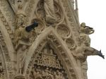 Notre-Dame de Reims. ������� ������������� ����������.
