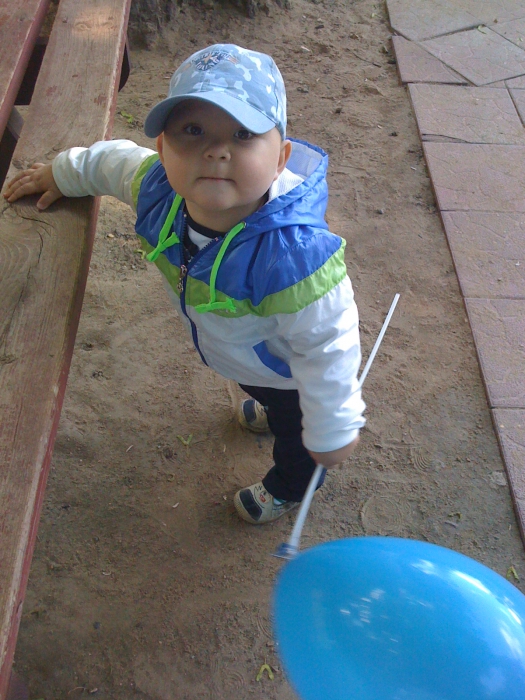 ���� 2011 