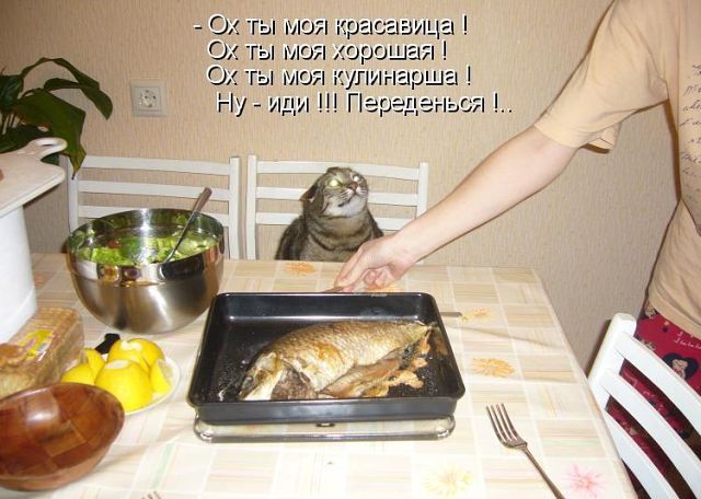 ������ ���))) 