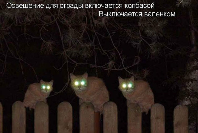 ������ ���))) 