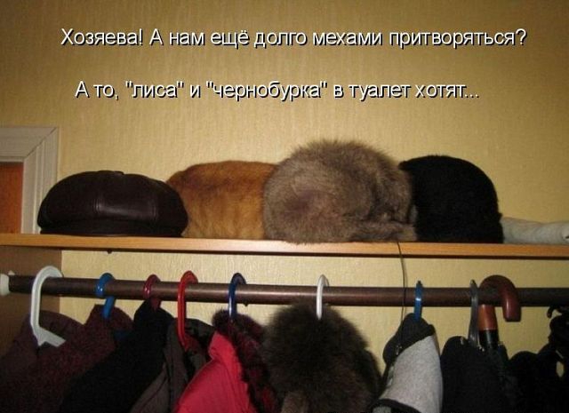 ������ ���))) 