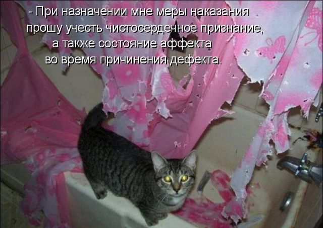 ������ ���))) 
