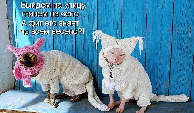 ������ ���))) 