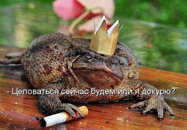 ������ ���))) 