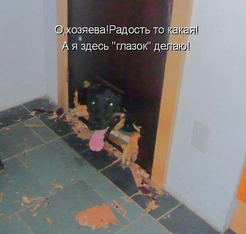 ������ ���))) 