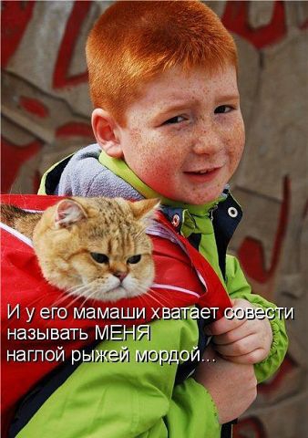 ������ ���))) 