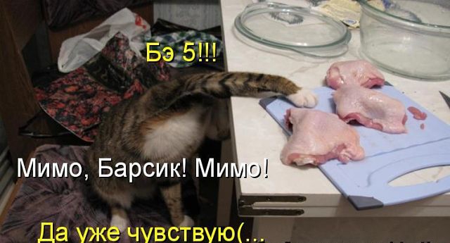 ������ ���))) 