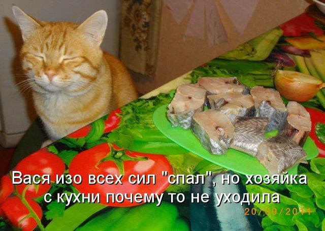 ������ ���))) 