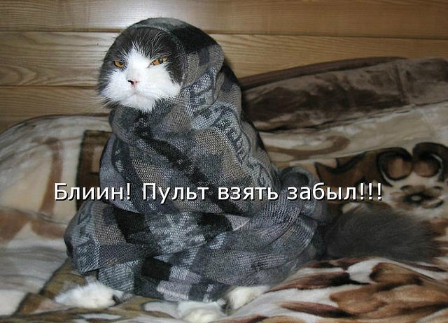 ������ ���))) 