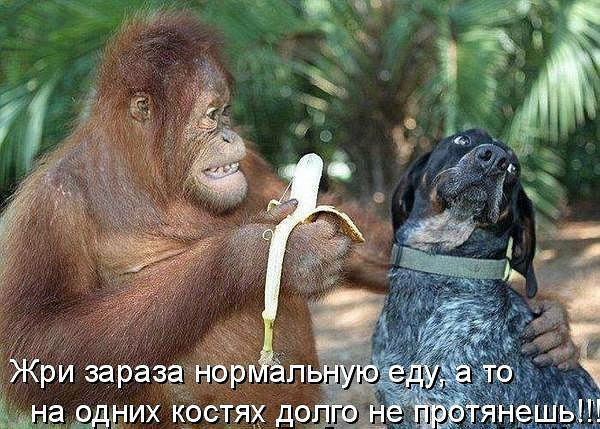 ������ ���))) 