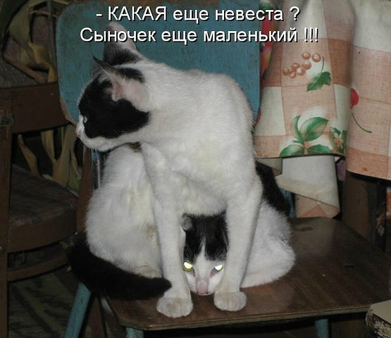 ������ ���))) 