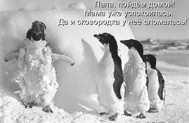 ������ ���))) 