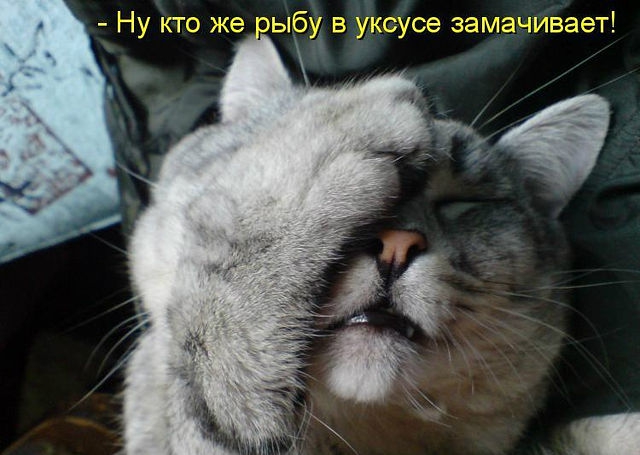 ������ ���))) 