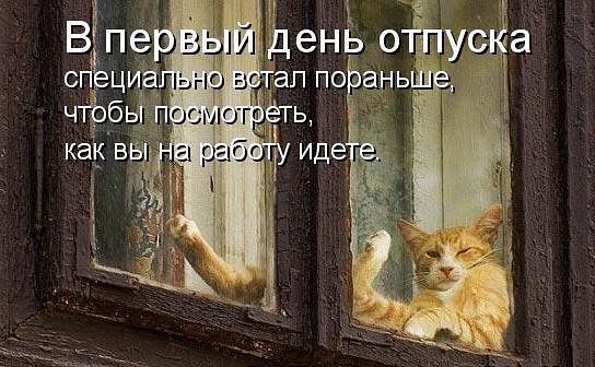 ������ ���))) 