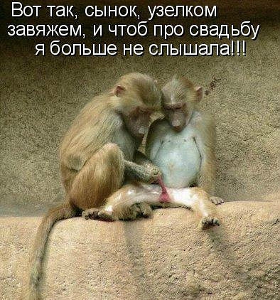 ������ ���))) 