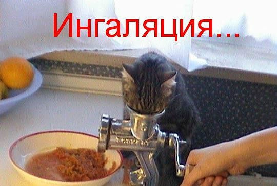 ������ ���))) 