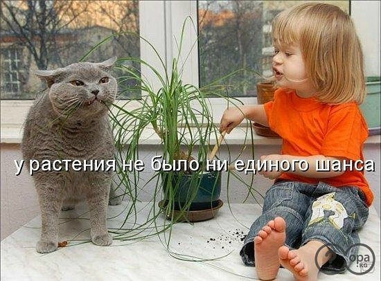 ������ ���))) 