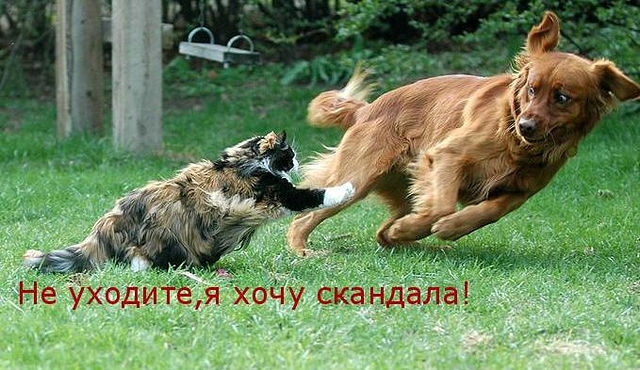 ������ ���))) 