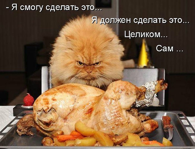 ������ ���))) 