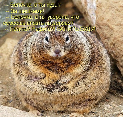 ������ ���))) 