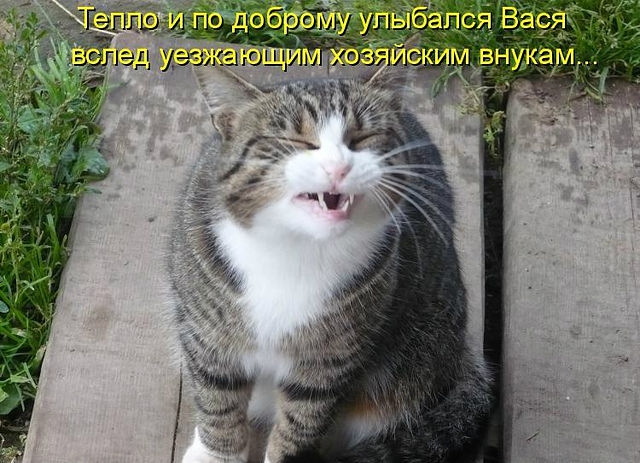 ������ ���))) 